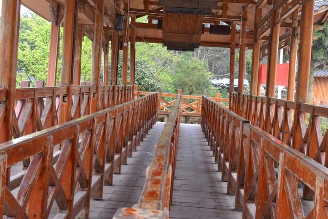 长沙张家界凤凰旅游攻略_长沙张家界凤凰_张家界凤凰旅游攻略网