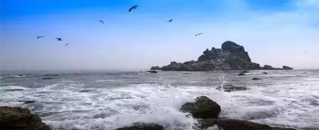 大连瓜皮岛潮汐表_大连瓜皮岛好玩吗_大连瓜皮岛旅游攻略
