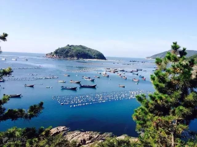 大连瓜皮岛旅游攻略_大连瓜皮岛好玩吗_大连瓜皮岛潮汐表