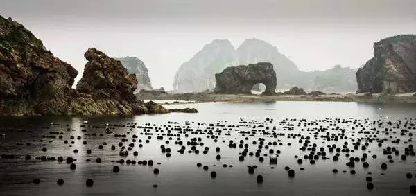 大连瓜皮岛旅游攻略_大连瓜皮岛潮汐表_大连瓜皮岛好玩吗