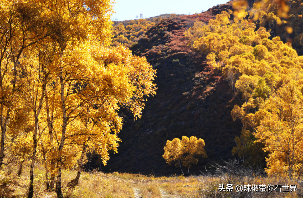 包头到锡林郭勒草原旅游攻略_包头距离锡林郭勒多远_从包头到锡林郭勒开车多长时间