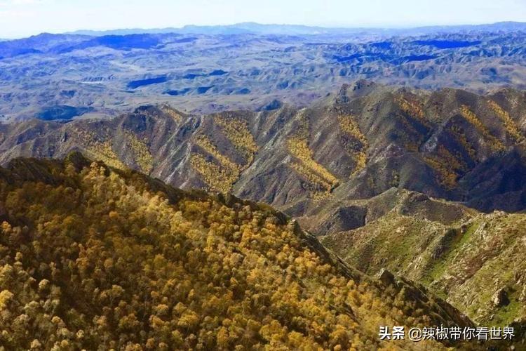 包头距离锡林郭勒多远_包头到锡林郭勒草原旅游攻略_从包头到锡林郭勒开车多长时间