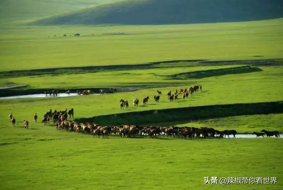 包头到锡林郭勒草原旅游攻略_从包头到锡林郭勒开车多长时间_包头距离锡林郭勒多远
