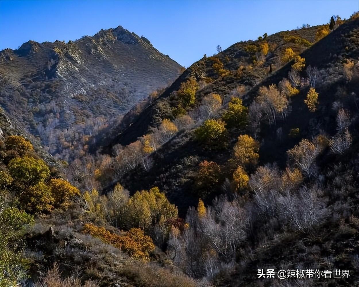 包头距离锡林郭勒多远_从包头到锡林郭勒开车多长时间_包头到锡林郭勒草原旅游攻略