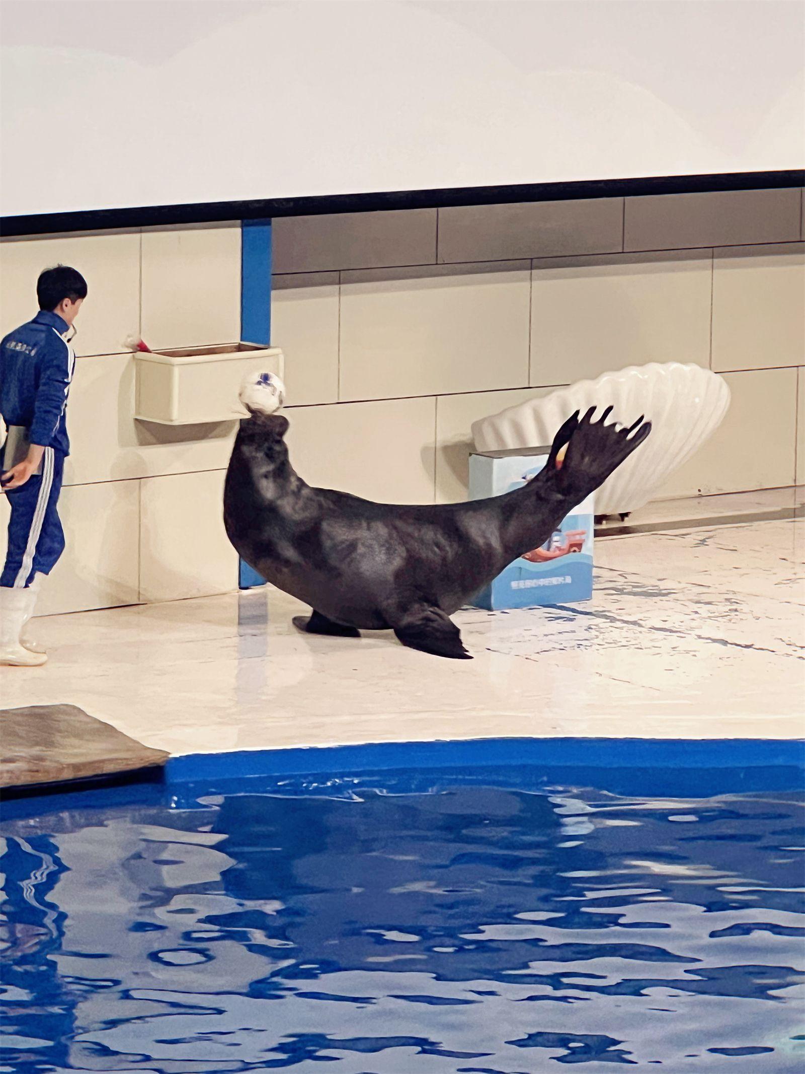 海洋公园旅游攻略_海洋公园_海洋公园景点
