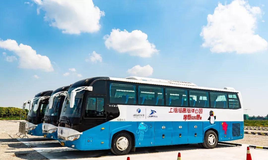 海洋公园旅游攻略_海洋公园推荐_海洋公园的游玩攻略
