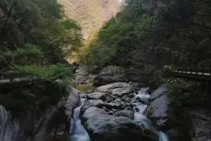 西安太平森林公园旅游攻略_太平森林攻略西安公园旅游_西安太平森林公园怎么样