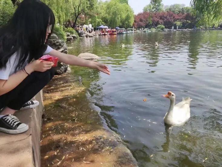 西安太平森林公园旅游攻略_太平森林攻略西安公园旅游_西安太平森林公园怎么样