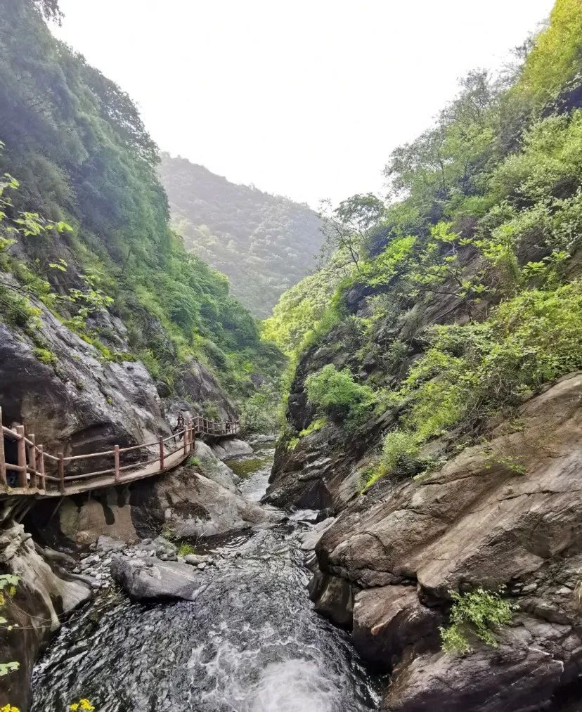 西安太平森林公园旅游攻略_太平森林攻略西安公园旅游_西安太平森林公园怎么样