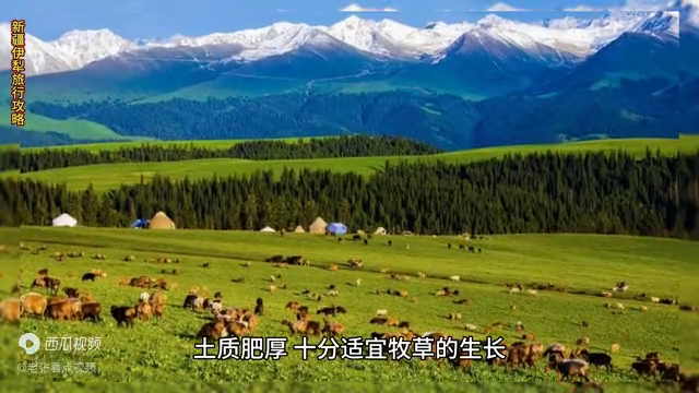 新疆伊犁旅游攻略_伊犁攻略新疆旅游线路_新疆伊犁旅游攻略必玩的景点