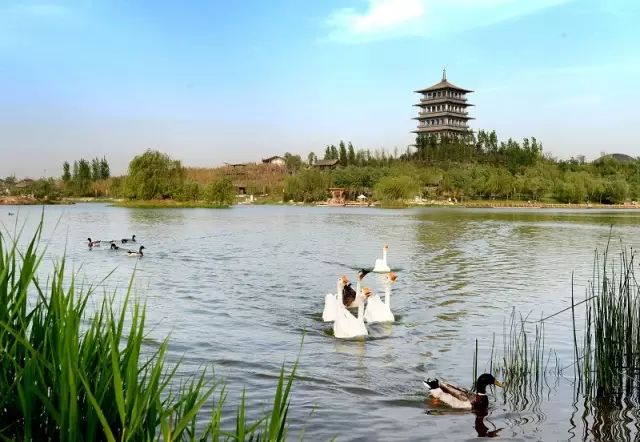 西安太平森林公园怎么样_西安太平森林公园旅游攻略_西安太平森林公园好玩吗