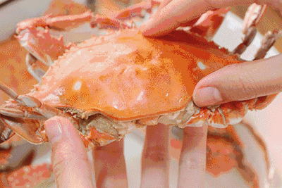 霞涌黄金海岸有什么好玩的_霞涌黄金海岸旅游攻略_霞涌黄金海岸图片