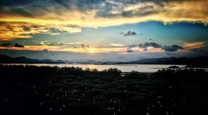 霞涌黄金海岸图片_霞涌黄金海岸有什么好玩的_霞涌黄金海岸旅游攻略