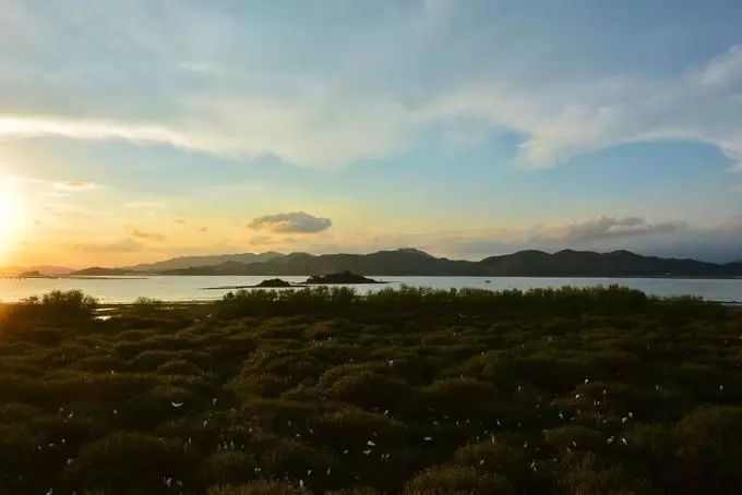 霞涌黄金海岸图片_霞涌黄金海岸有什么好玩的_霞涌黄金海岸旅游攻略