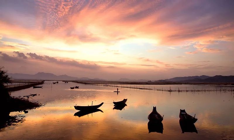 霞涌黄金海岸旅游攻略_霞涌黄金海岸图片_霞涌黄金海岸有什么好玩的