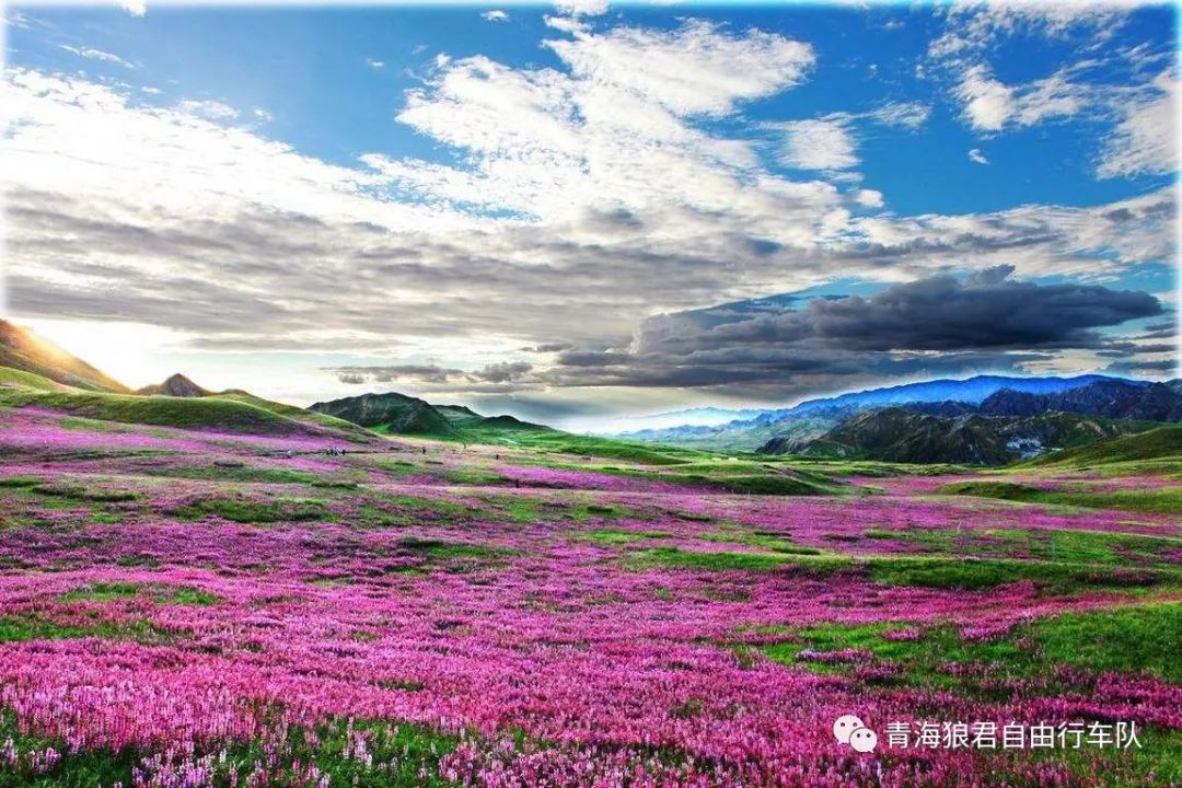 金银滩旅游攻略_金银滩景区_金银滩实拍
