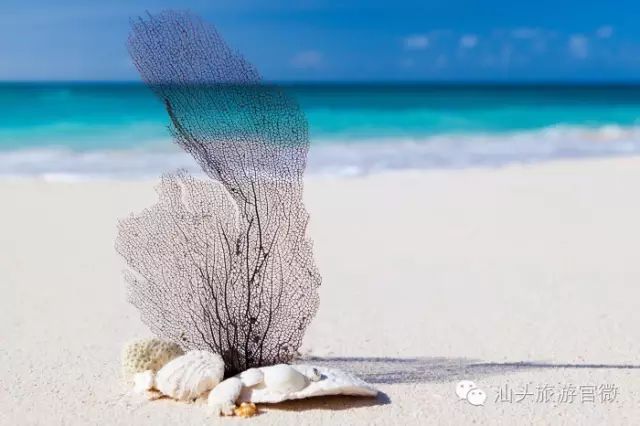 汕头南澳岛旅游攻略_汕头南澳岛一日游最佳路线图_汕头旅游景点南澳岛