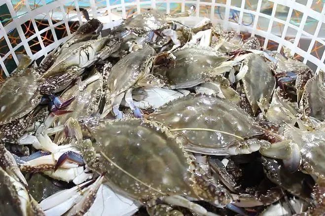 象山石浦一日游_浙江象山石浦旅游指点_象山石浦旅游攻略美食