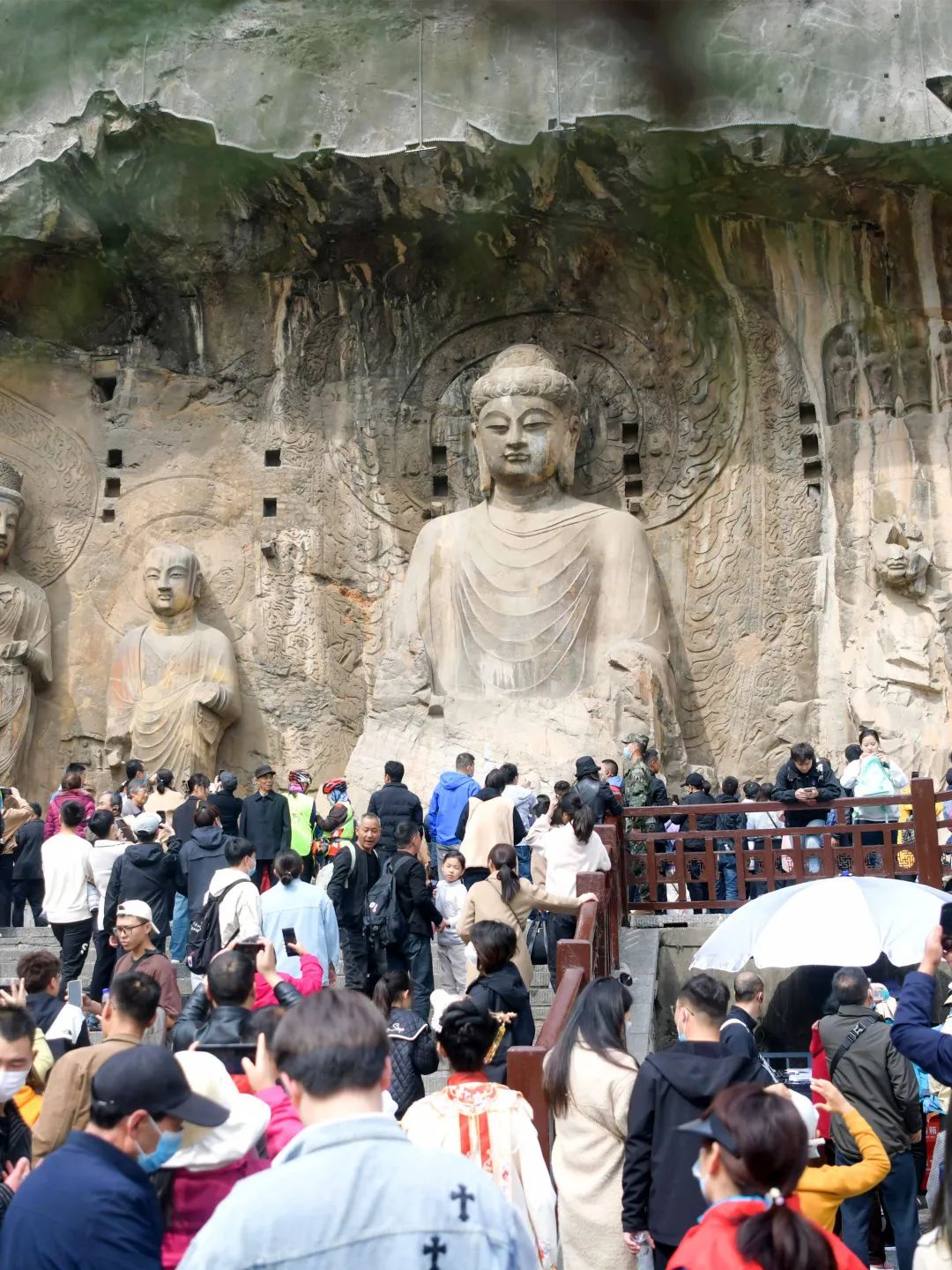 洛阳到青天河风景区旅游攻略-青天河洛阳旅游年票能用吗