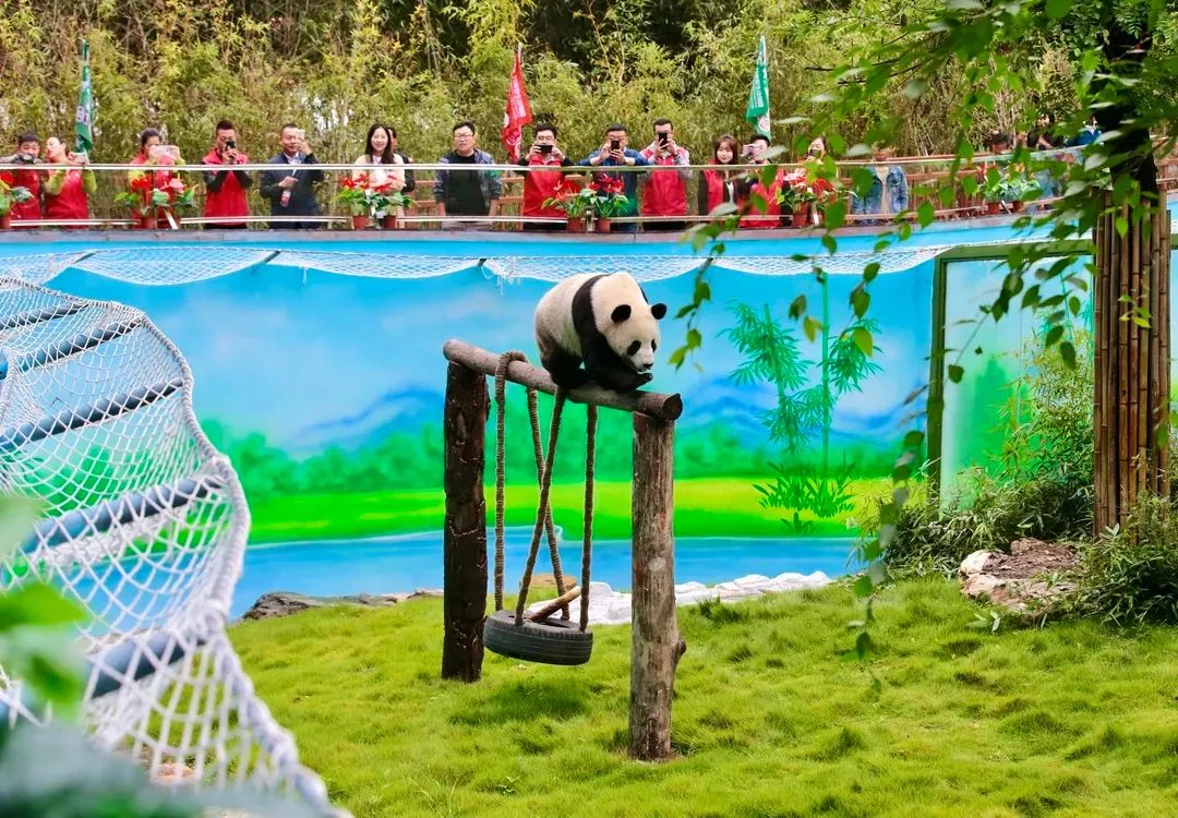 洛阳到青天河风景区旅游攻略_洛阳青天河好玩吗_青天河洛阳旅游年票能用吗