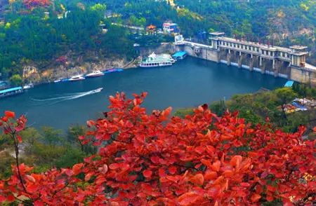洛阳青天河风景区在哪_洛阳到青天河风景区旅游攻略_洛阳青旅旅游线路