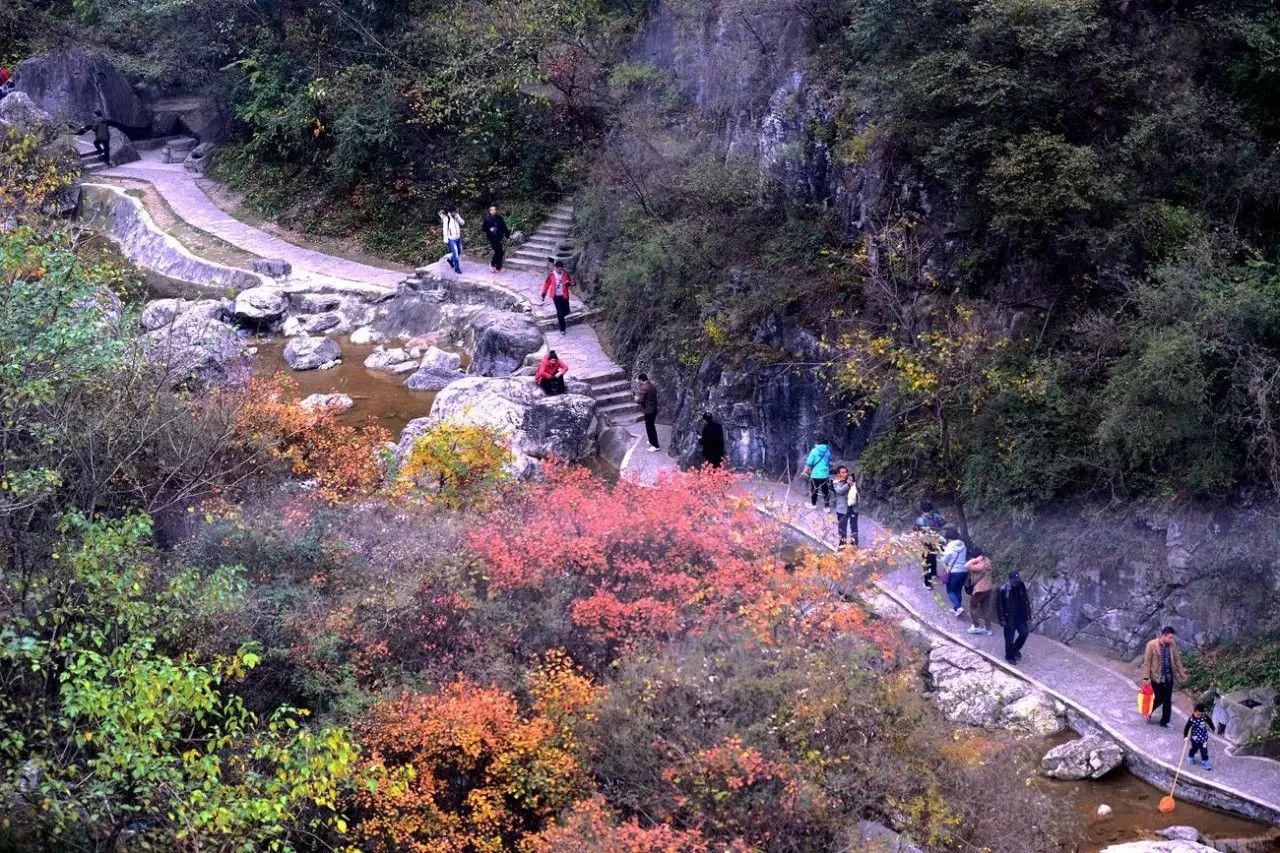 洛阳青天河风景区在哪_洛阳到青天河风景区旅游攻略_洛阳青旅旅游线路