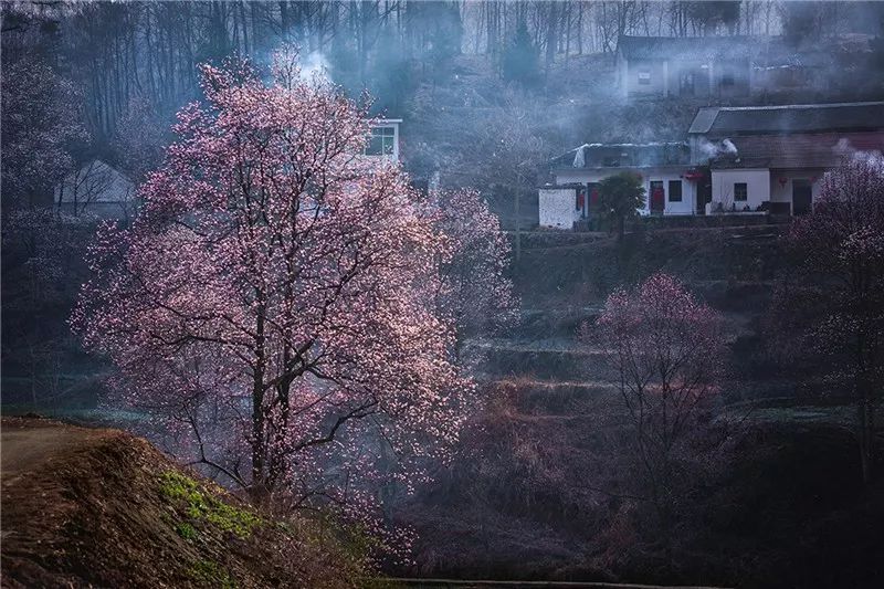 大别山旅游攻略_山东大学旅游景点_山大有什么好玩的地方