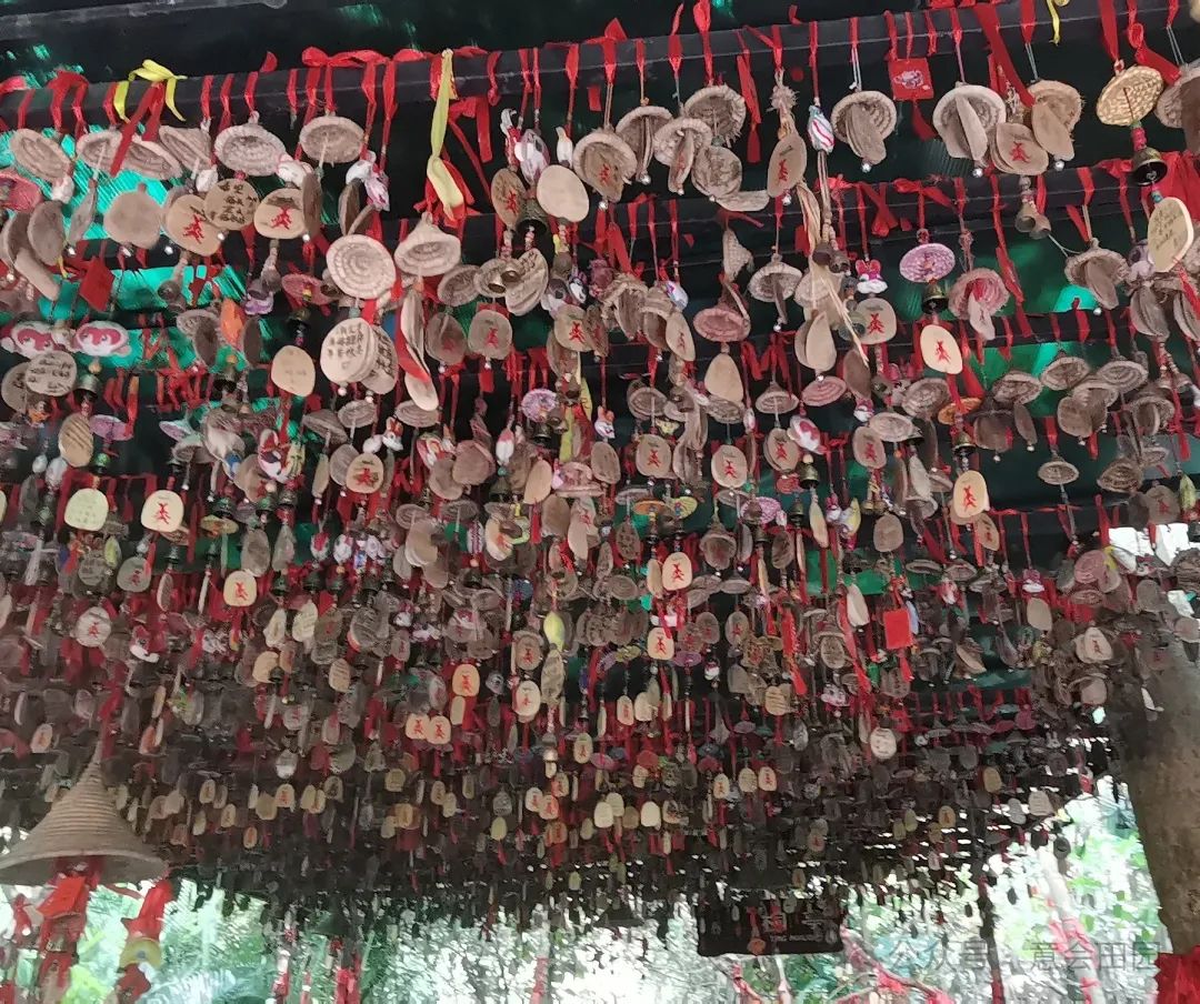 三亚呀诺达自由行攻略_三亚呀诺达旅游攻略_三亚亚诺达景区