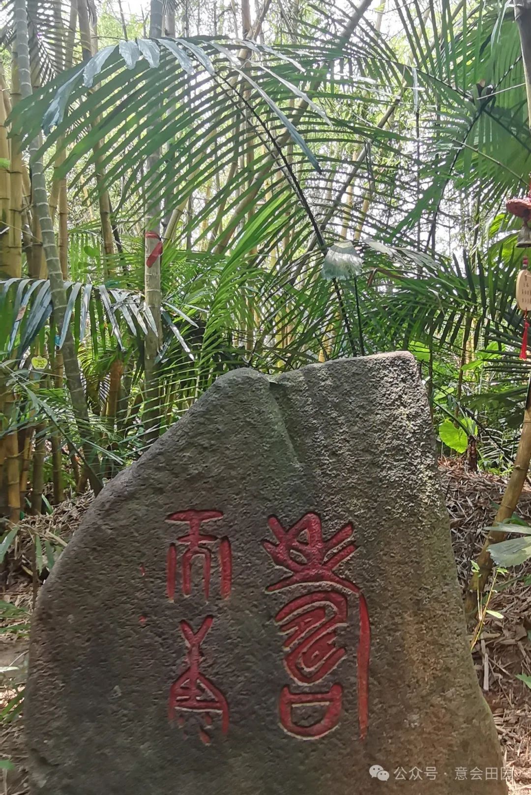 三亚呀诺达自由行攻略_三亚呀诺达旅游攻略_三亚亚诺达景区