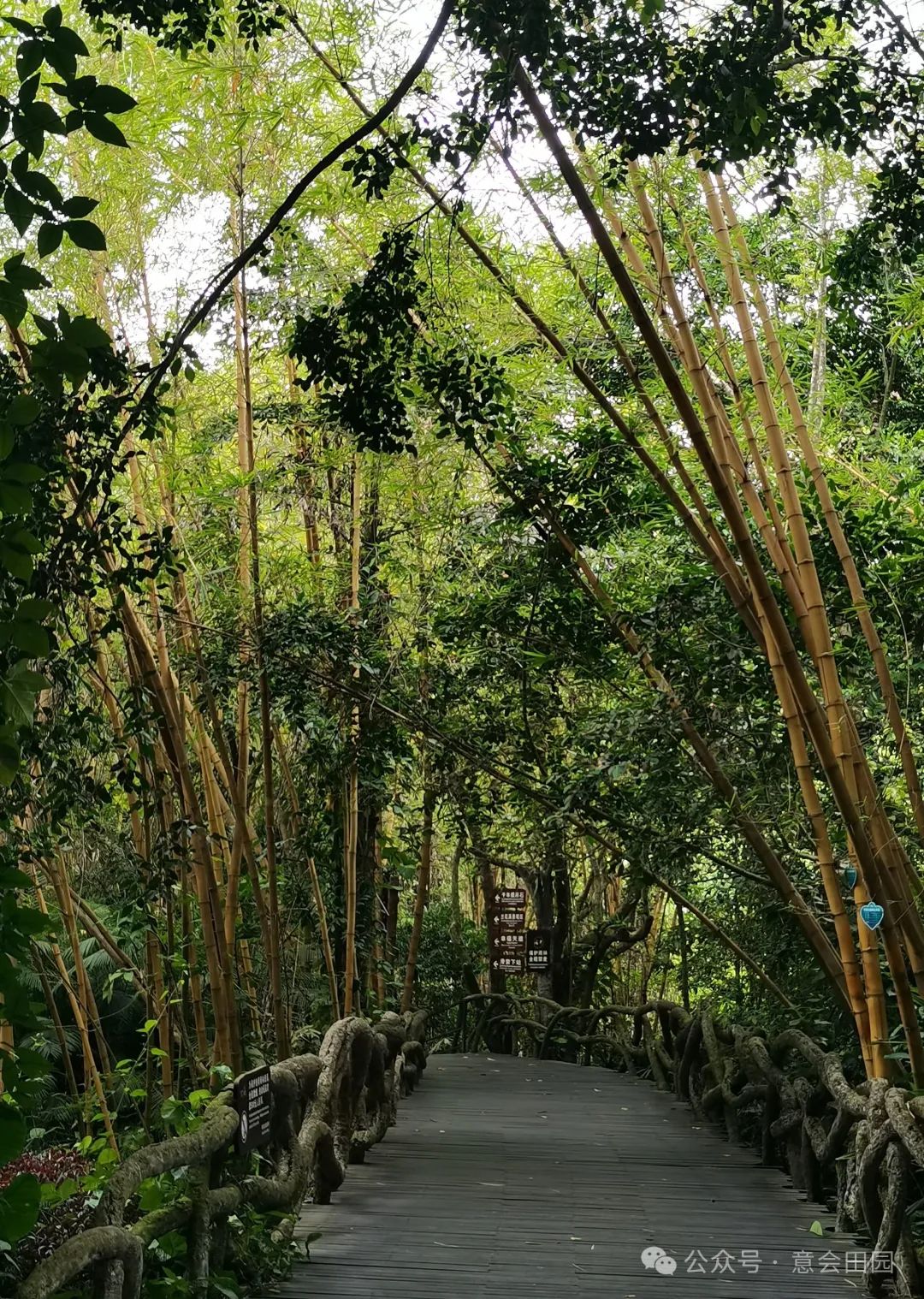 三亚亚诺达景区_三亚呀诺达旅游攻略_三亚呀诺达自由行攻略