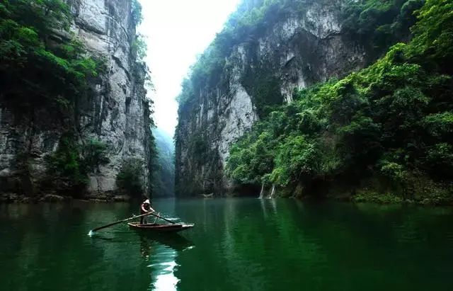 贵州妥乐古银杏风景区图片_贵州妥乐村旅游攻略_贵州妥乐村自由行攻略