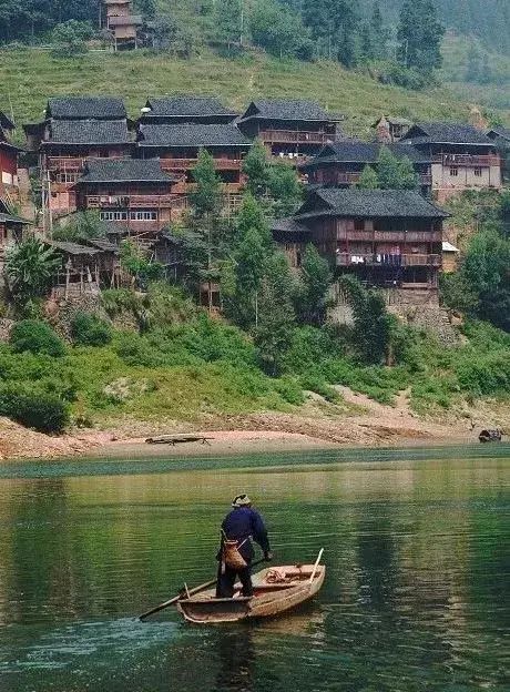 贵州妥乐古银杏风景区图片_贵州妥乐村旅游攻略_贵州妥乐村自由行攻略