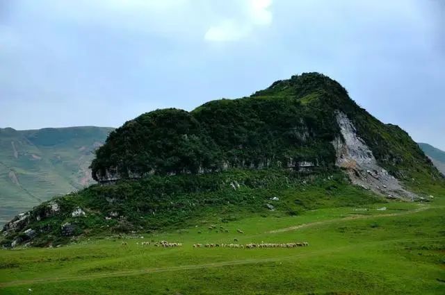 贵州妥乐村自由行攻略_贵州妥乐村旅游攻略_贵州妥乐古银杏风景区图片