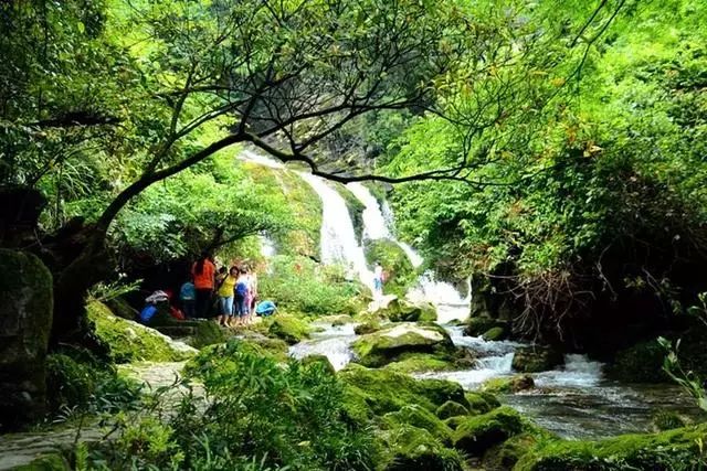 贵州妥乐村自由行攻略_贵州妥乐古银杏风景区图片_贵州妥乐村旅游攻略