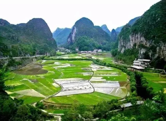 贵州妥乐村自由行攻略_贵州妥乐古银杏风景区图片_贵州妥乐村旅游攻略