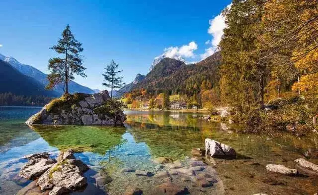 德国森林_德国黑森林旅游攻略_德国黑森林怎么去