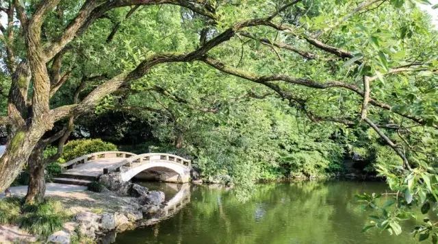 杭州和乌镇旅游攻略_乌镇攻略杭州旅游团_乌镇的旅游攻略