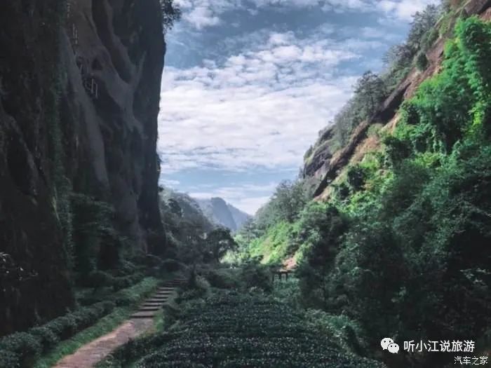 厦门旅游武夷山必去吗_厦门武夷山旅游攻略七日游_厦门武夷山旅游攻略