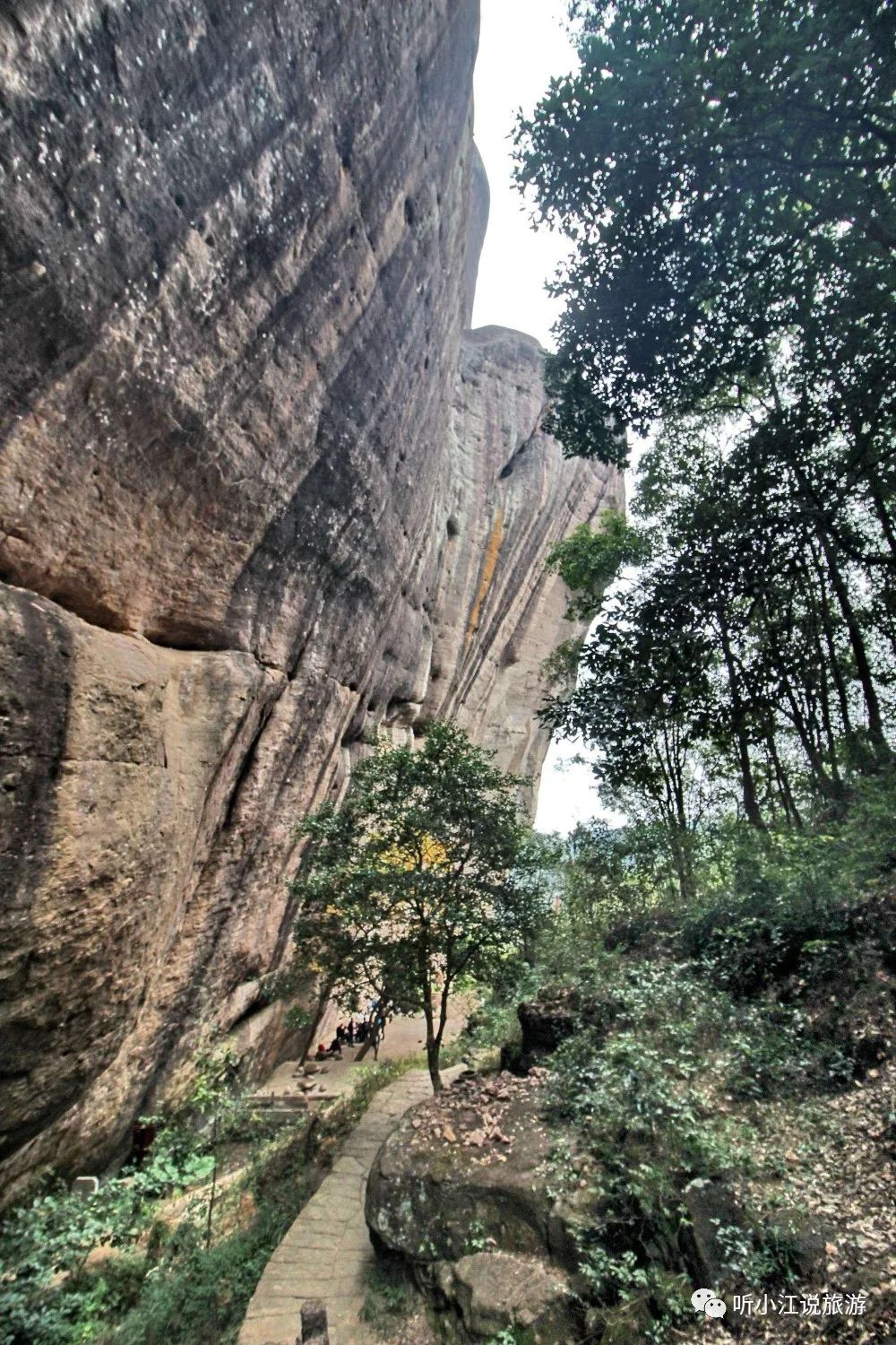 厦门武夷山旅游攻略_厦门武夷山旅游攻略七日游_厦门旅游武夷山必去吗