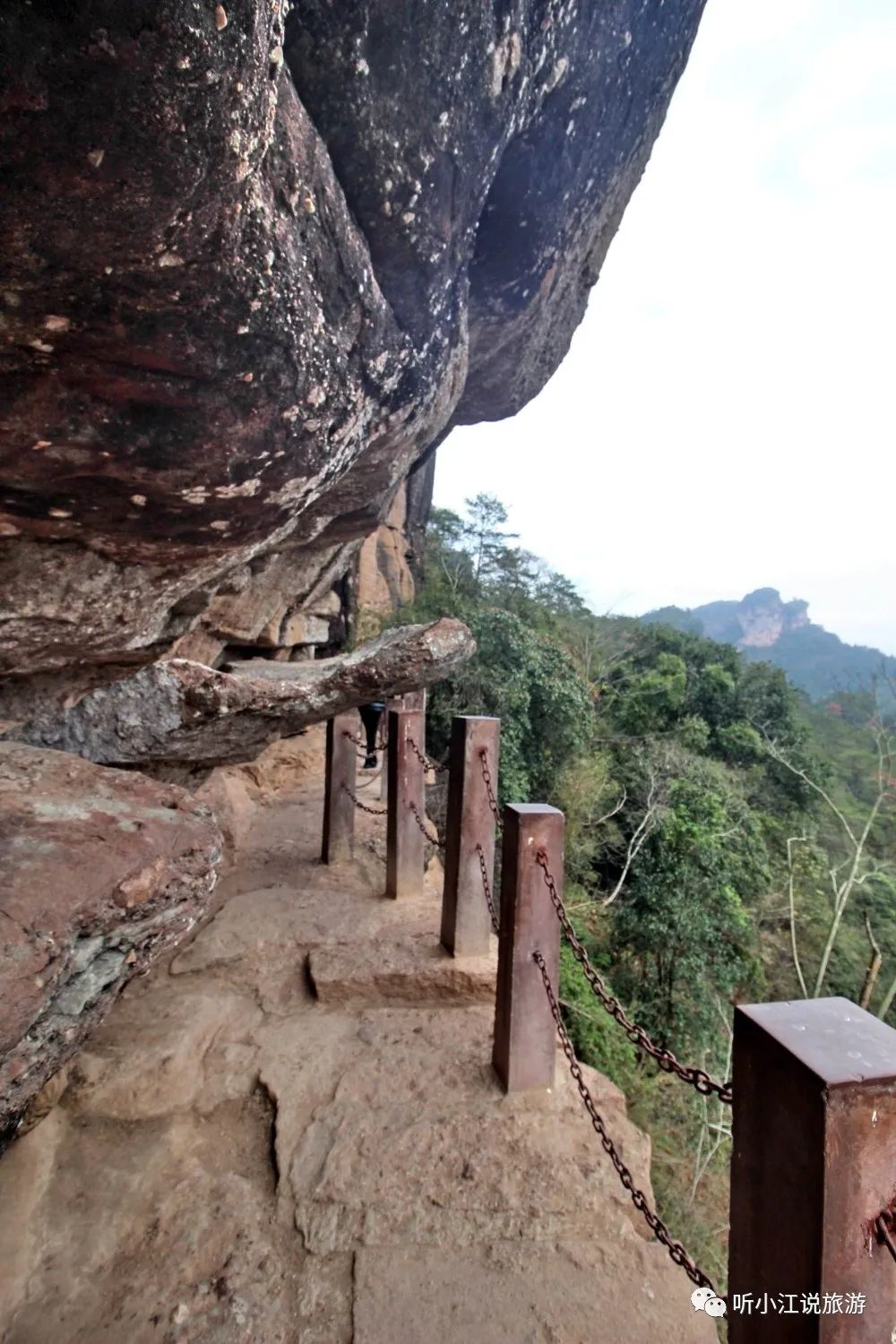 厦门武夷山旅游攻略_厦门武夷山旅游攻略七日游_厦门旅游武夷山必去吗