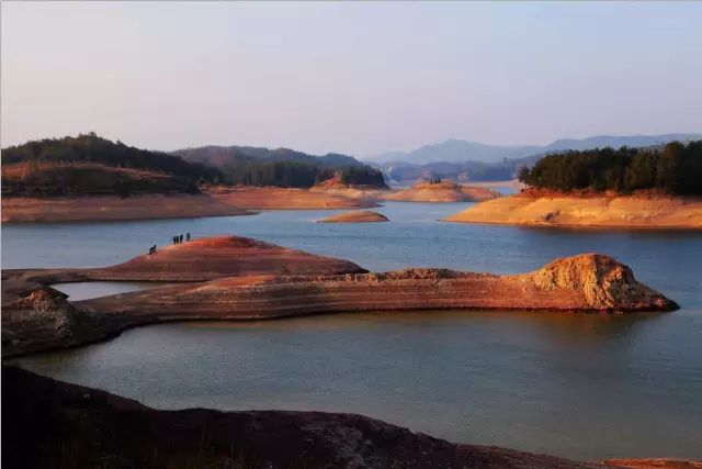 宁波枸杞岛图片大全_宁波到枸杞岛旅游攻略_宁波怎么枸杞岛