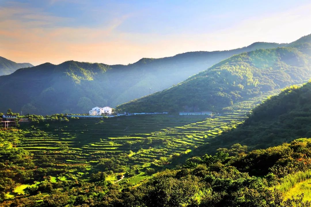 宁波怎么枸杞岛_宁波枸杞岛图片大全_宁波到枸杞岛旅游攻略