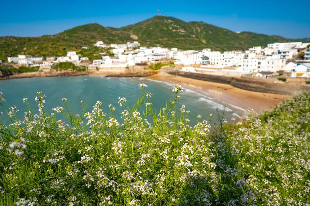 宁波枸杞岛好不好玩_宁波枸杞岛自驾游攻略_宁波到枸杞岛旅游攻略