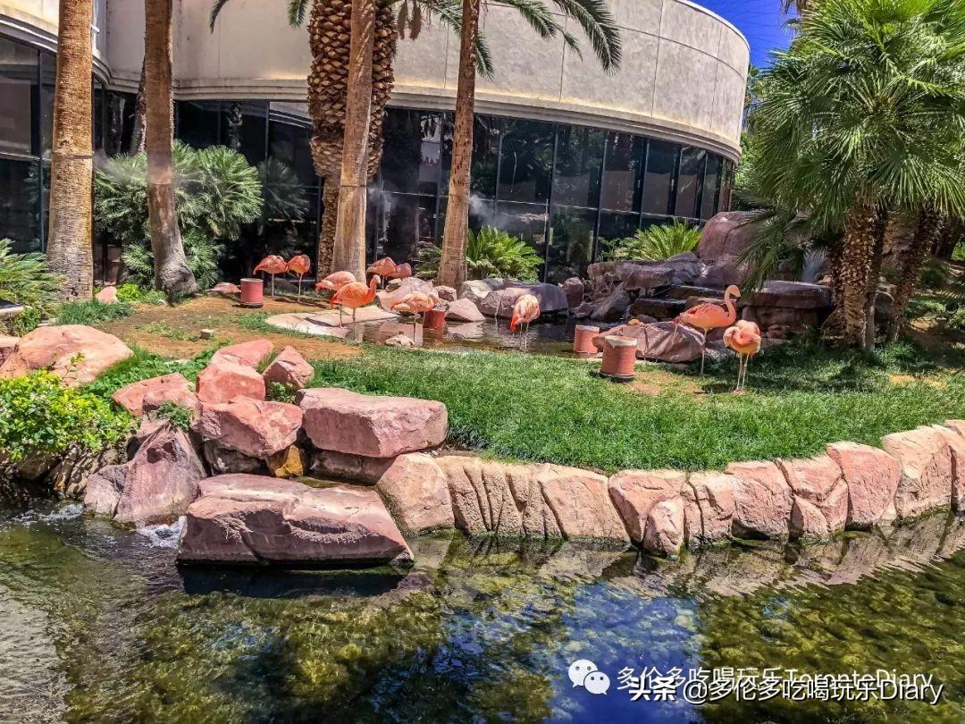 las vegas 旅游攻略_攻略旅游浙江杭州_攻略旅游大峡谷恩施