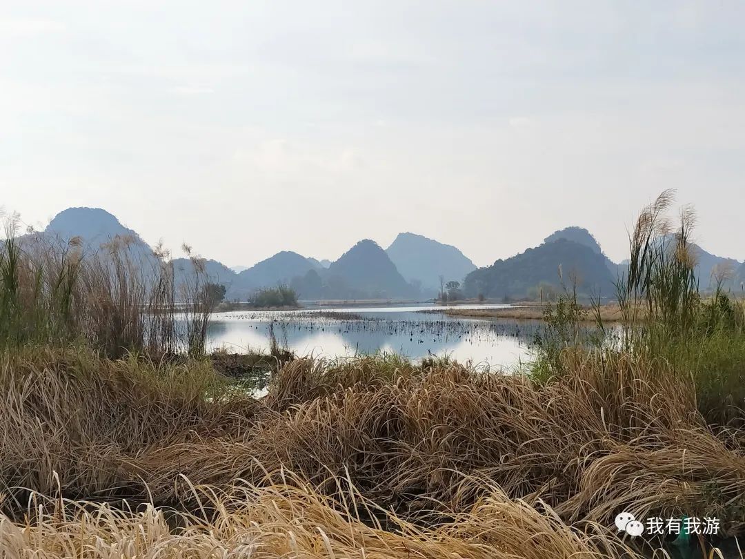 普者黑旅游路线_普者黑旅游需要注意什么_普者黑旅游攻略