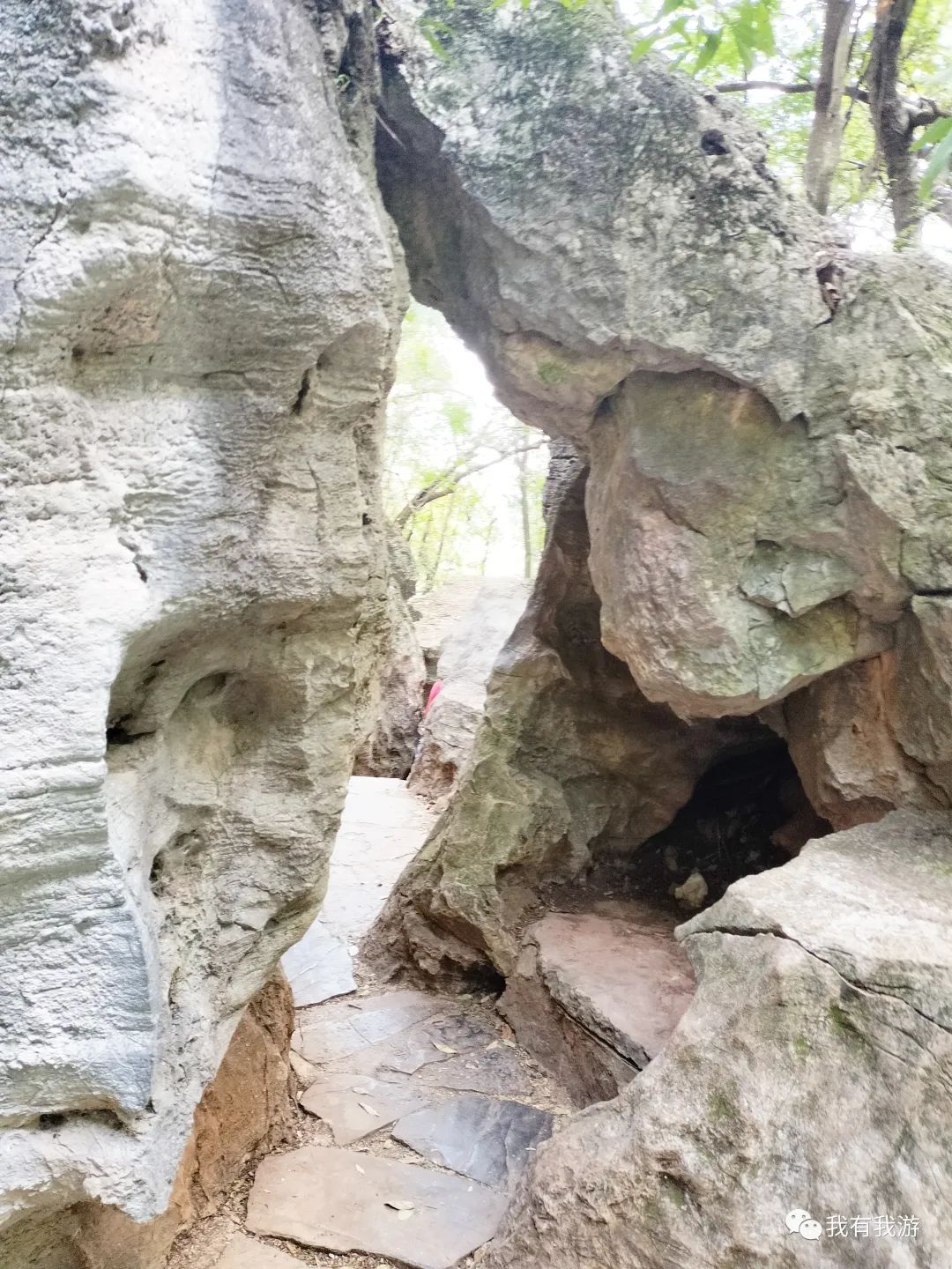 普者黑旅游攻略_普者黑旅游路线_普者黑旅游需要注意什么
