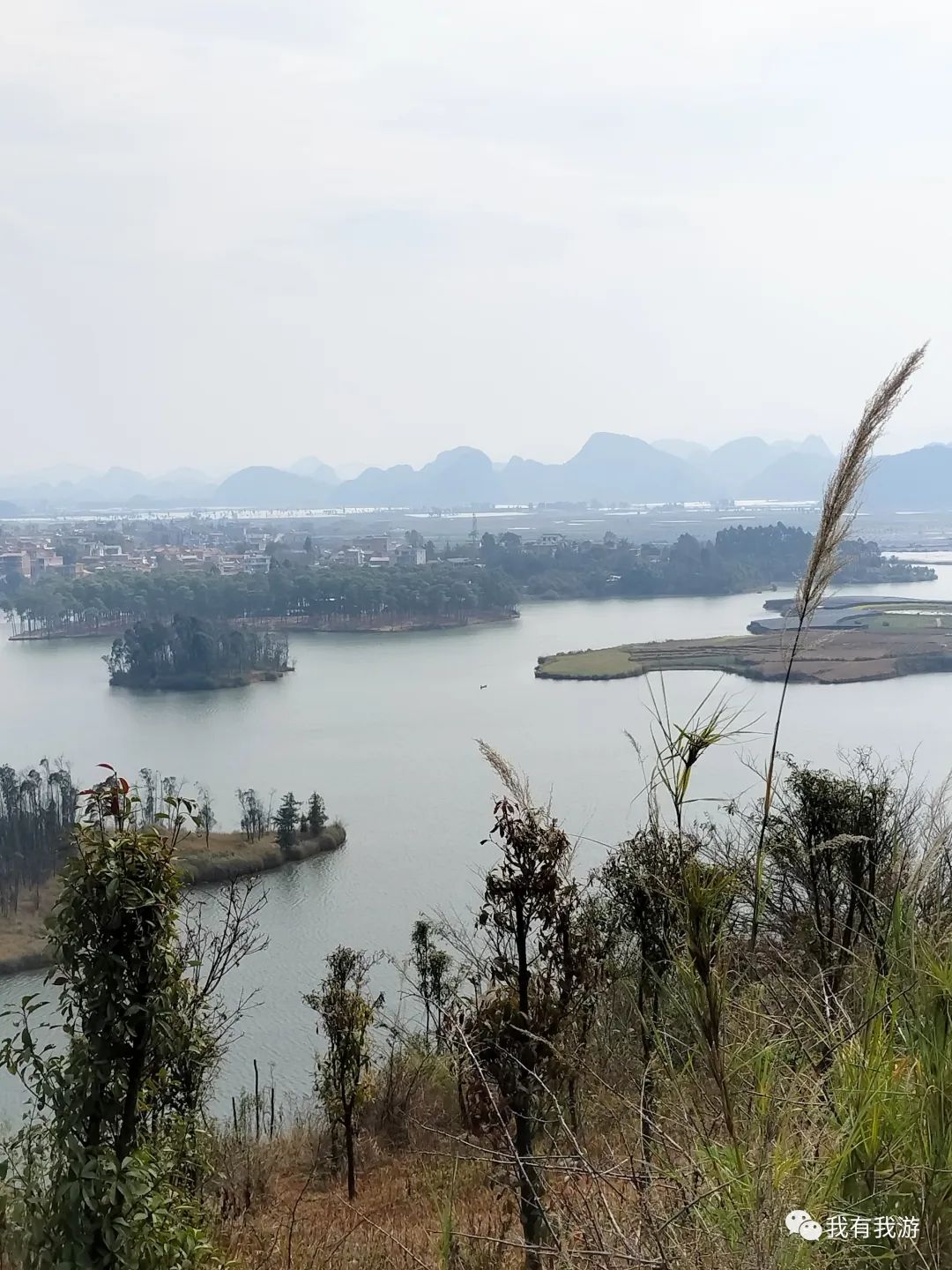普者黑旅游攻略_普者黑旅游需要注意什么_普者黑旅游路线