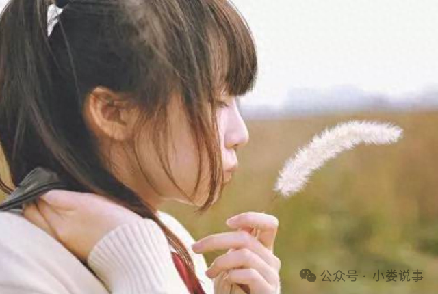 去泰国普吉岛旅游攻略_泰国旅游胜地普吉岛_泰国普吉岛自由行旅游攻略
