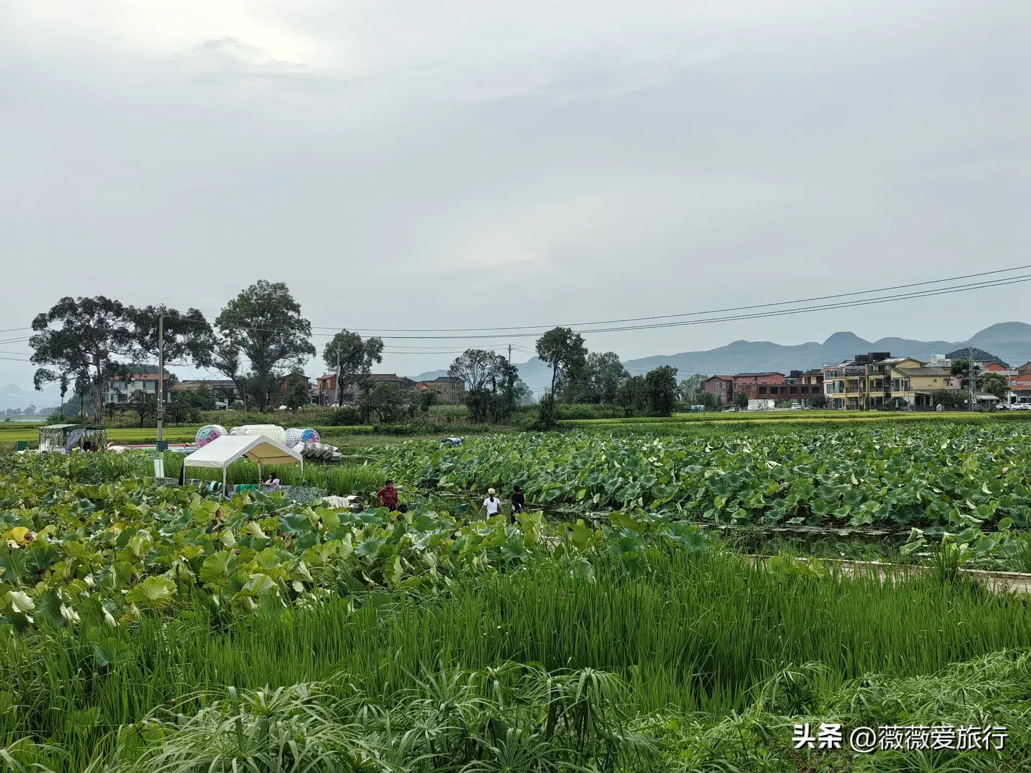云贵自驾游线路推荐_云贵旅游时间_云贵旅游攻略
