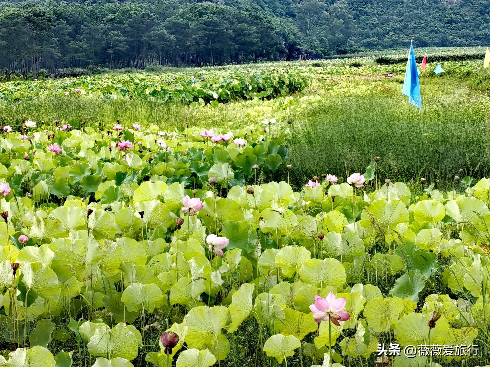 云贵自驾游线路推荐_云贵旅游攻略_云贵旅游时间